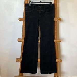 White House | Black Market Denim Pants